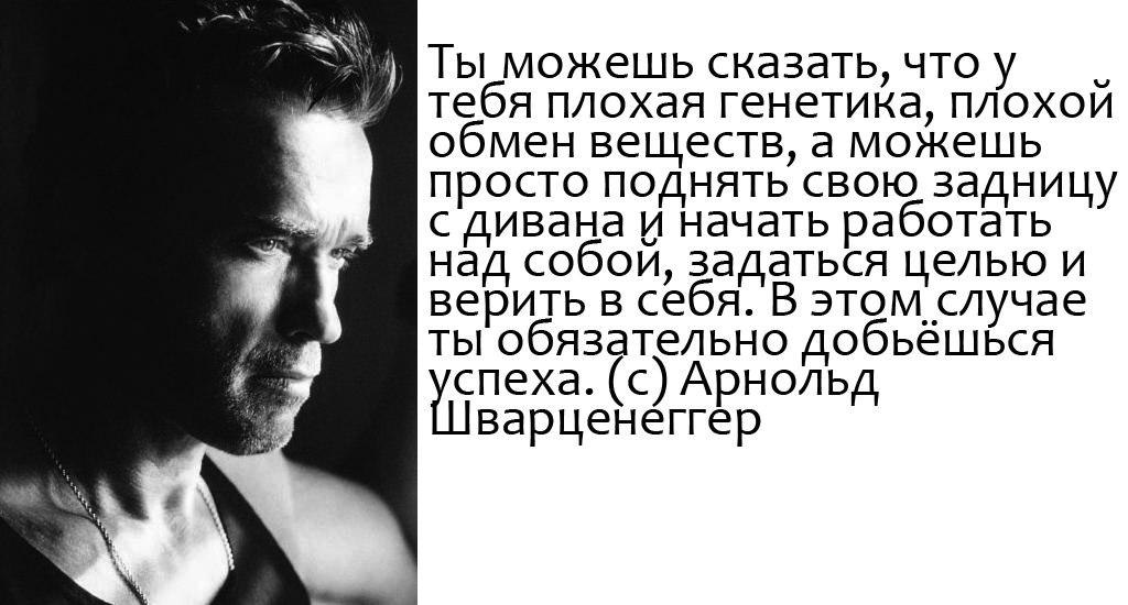 Не доверяешь не работай. Работа над собой цитаты. Работай над собой цитаты. Фразы про работу над собой. Высказывания Шварценеггера.