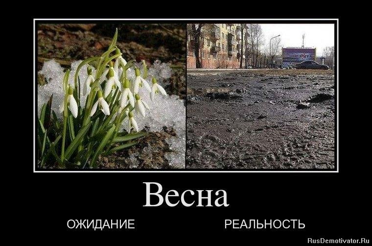 Вот такая вот весна картинки