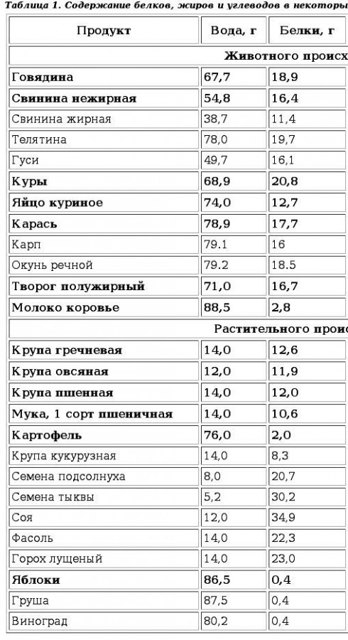 Содержание белка в белке. Содержание белка в продуктах таблица на 100. Белки жиры углеводы в продуктах питания таблица. Содержание белка в продуктах таблица на 100 грамм. Таблица содержания белка и жира в продуктах в 100.