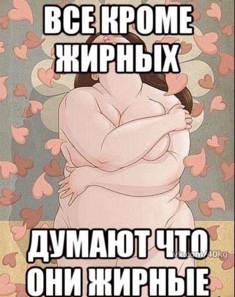 Я толстая. Шутки про толстых.