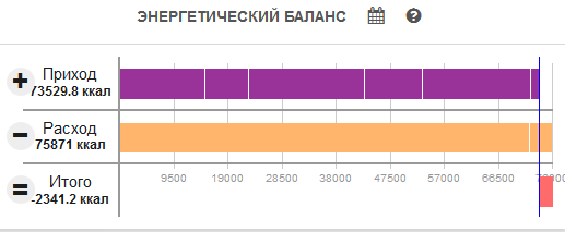 Баланс приход расход. Баланс прихода и расхода веществ. Life report