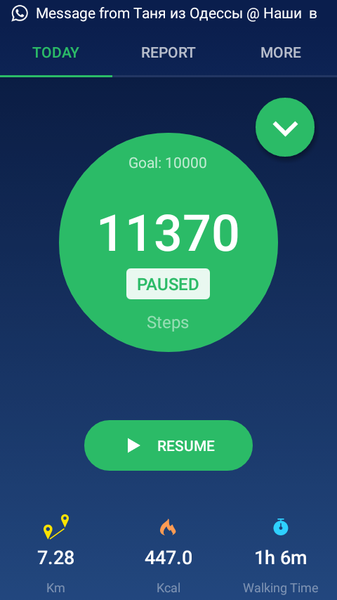 30 тыс шагов. Шагомер скрин. Шагомер Скриншот. Шагомер 10000 шагов скрин. Шагомер 5000 шагов.