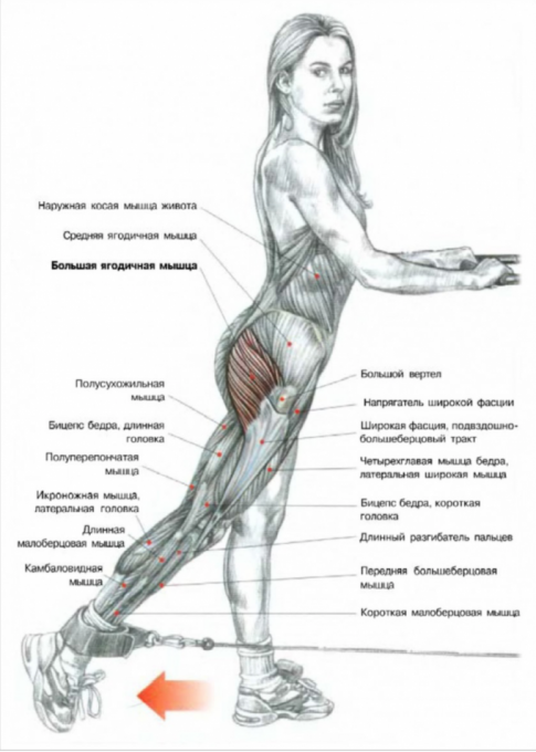 7 способов защитить суставы в межсезонье - БСМП Гродно