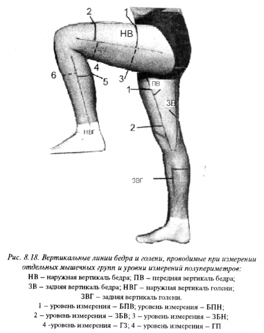 Трети правого бедра