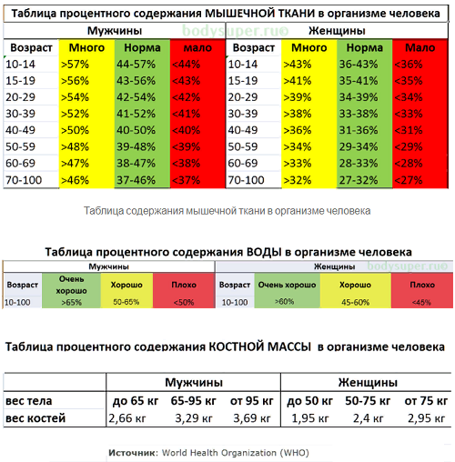 Какой нормальный процент. Показатели воды , жира, мышц норма у женщин. Норма воды жира мышечной и костной массы. Нормальные показатели жира воды мышечной массы. Таблица нормы жира и воды в процентах в организме.