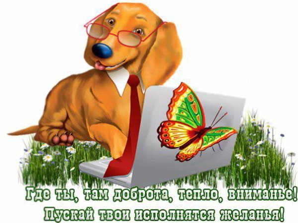 Твое внимание. Спасибо за твою доброту. Спасибо за тепло и доброту. Благодарность за теплоту и внимание. Спасибо за теплоту души.