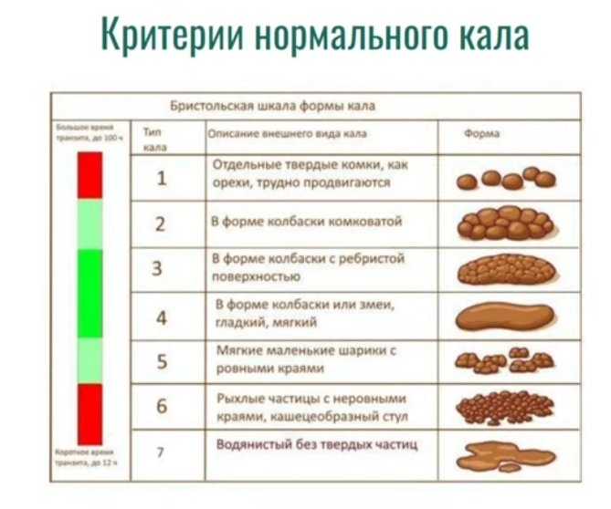 Бристольская шкала формы кала фото