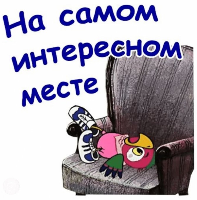 На самом интересном. Вот так всегда на самом интересно месте. На самом интересном месте Кеша. Кешана самом ИНТЕЕРСНОМ месте. Попугай Кеша на самом интересном месте.